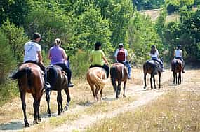 Foto 1 Excursión a caballo por las colinas de la Toscana desde Siena