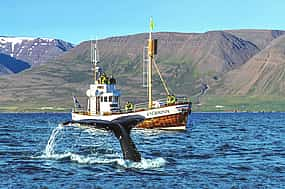 Foto 1 Avistamiento de ballenas desde Árskógssandur - 30 minutos de Akureyri