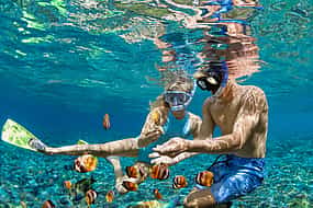 照片 1 Snorkeling Full-day Tour to Nusa Lembongan and Nusa Penida