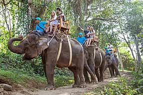 Фото 1 An Unforgettable Elephant Ride at Bali Zoo