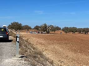 Photo 1 Full Day trip to Essaouira from Marrakech