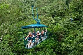 Photo 1 RainForest Aerial Tram, River Cruise & Nature Walk: Eco Tour
