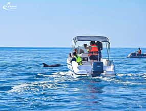 Fotografija 1 Dolphin Watching Boat Trip in Djerba – 2-Hour Sea Adventure