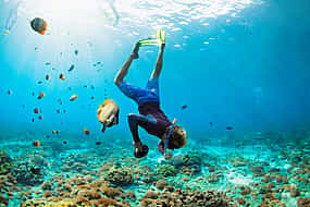 Fotoğraf 1 Blue Lagoon and Tanjung Jepun Snorkeling Private Tour