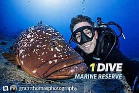 Photo 1 Garajau Marine Reserve single dive