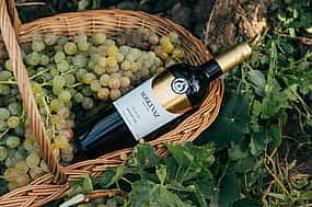 Photo 1 Premium Tour to the Voskevaz Winery