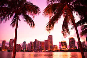 Foto 1 El día perfecto en Miami