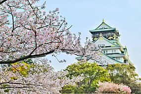 Photo 1 Fun Osaka Day Tour: Culture, Castles & Local Eats