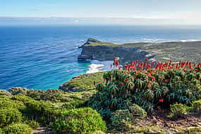 รูปภาพ 1 Cape of Good Hope and Sightseeing Tour