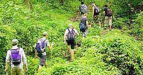 Photo 1 Trekking dans la jungle de Bali