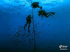 Photo 1 Become a Certified Open Water Diver from Azores - São Miguel  - Your Underwater Adventure Starts Here!