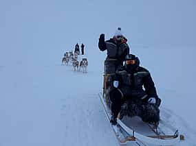 Zdjęcie 1 Dog Sledding on Snow