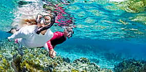 Photo 1 Snorkel Trip to Giftun Island from Hurghada