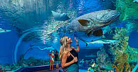 Foto 1 Antalya Aquarium mit Eintritt und Hin- und Rücktransfer von Alanya