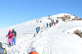 Photo 1 Kilimanjaro Luxury 7-day Hike