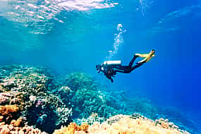 Photo 1 Diving Experience in Antalya