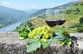 Foto 1 Excursión en grupo reducido por el valle del Duero con paseo en barco y cata de vinos de viñedos