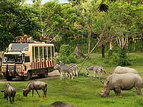 Фото 1 Bangkok: Safari World Tour with Safari and Marine Park Ticket, Lunch and Transfer