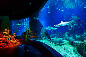 Photo 1 Aquarium Experience with Combo Ticket Package