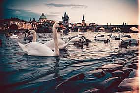 Foto 1 Nuremberg to Prague - Private Transfer with 2 hours of Sightseeing