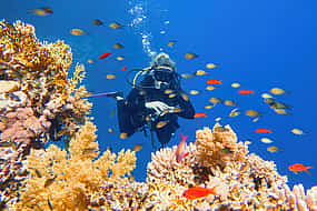 Photo 1 Day Tour on Yacht with 2 Dives with Lunch in Hurghada
