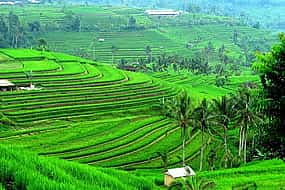Foto 1 Bali Ancient Temples and Jatiluwih Rice Terrace Private Tour