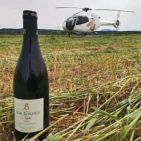 Foto 1 Excursión en helicóptero y cata de vinos