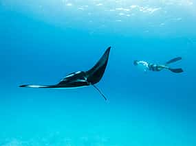 Foto 1 Zwemmen met Manta's in Nusa Penida en Nusa Lembongan