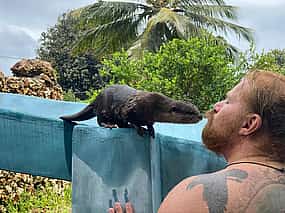 照片 1 Amazing Otter Experience