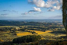 Photo 1 Baux and Saint Rémy de Provence: Culture and Landscapes, 8 Hours