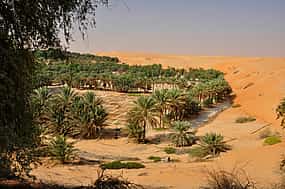 Фото 1 Частное сафари по пустыне Лива на целый день