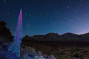 Photo 1 Mount Teide Night Tour: Stargazing with Dinner