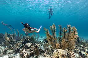 照片 1 Snorkeling at Blue Lagoon Bali
