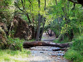 Photo 1 Beauty, Nature and Charm of Troodos Mountains from Paphos