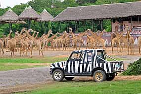 Photo 1 Bangkok: Safari World Tour with Safari Park Ticket