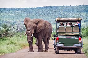 Foto 1 Ganztägige exquisite Pilanesberg-Safari-Touren ab Johannesburg