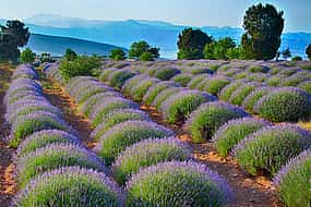 Photo 1 Lavender Fields and Lake Salda from Alanya
