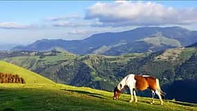 Photo 1 Visite des plus beaux sites du Pays Basque avec un guide privé.
