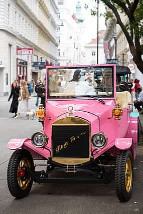 Photo 1 Panoramic Vienna City Tour Passing by the Most Famous Landmarks