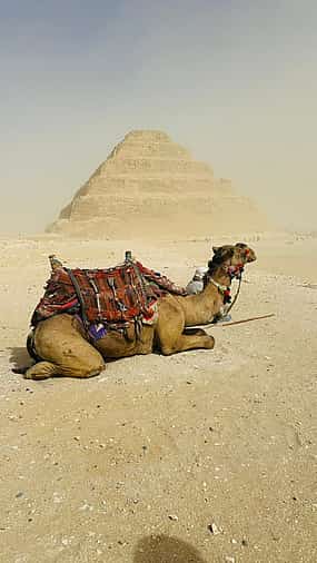 Photo 1 Дахшур, Саккара и Мемфис за 1 день