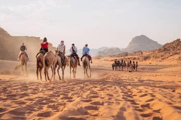 Amman or Dead Sea to Wadi Rum Full Day  Private Trip