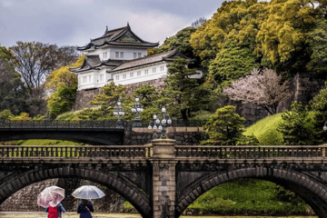Personalized Tokyo City Tour with Assistant by Public Transportation