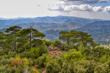 Artemis Trail and Waterfalls Trail Private Walking Tour