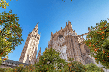 Three Cities in One Day: Ronda, White Village and Sevilla from Málaga