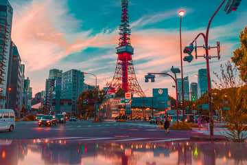 Tokyo Private Layover Tour with Airport Pickup & Drop-off