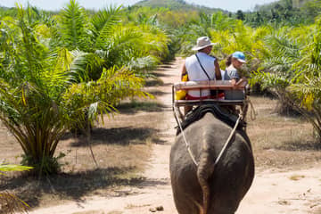 Phuket: Jangle Safari with Bamboo Rafting and Elephant Riding