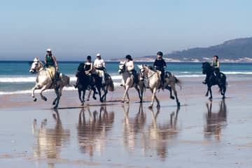 Seaside Horse Riding 30 minutes