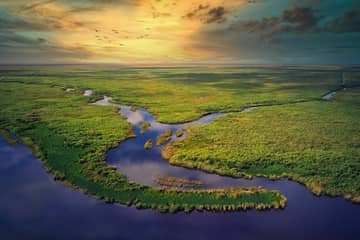 Everglades Tour from Miami with Transportation (small groups)