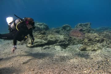 Scuba Diving for Beginners (try dive)