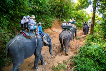 Phuket: Bamboo Rafting, Elephant Trekking with 15-minute ATV Riding